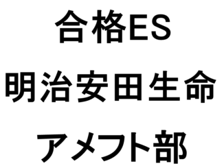 21卒 合格es 明治安田生命 アメフト アスリートキャリアカレッジ