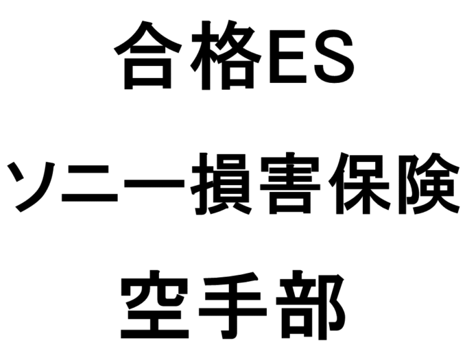 ソニー損害保険2